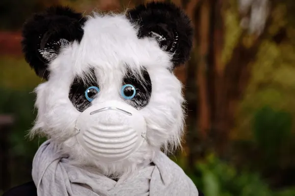 Bitcoza Casino Supporto